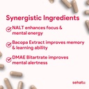 focus-plus-cognitive-performance-enhance-2.jpg