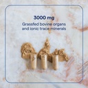trace-minerals-beef-organs---beef-organ--2.jpg