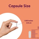 bestvite-l-glutamine-500mg-per-capsule-2-4.jpg