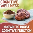 reishi-mushroom-capsules---360-count-red-3.jpg