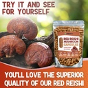 reishi-mushroom-capsules---360-count-red-6.jpg