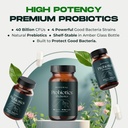 targetted-delivery-probiotics-prebiotic--4.jpg