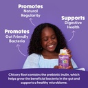 the-feel-great-vitamin-company-fiber-gum-3.jpg