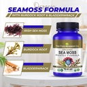 sea-moss-master-formula-with-burdock-roo-4.jpg