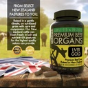 paleo-pro-liver-gold-premium-beef-organs-3.jpg