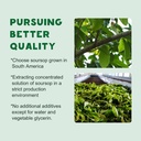 2-pack-organic-soursop-graviola-liquid-d-5.jpg