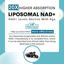 maripolio-liposomal-nad-1000-mg-suppleme-4.jpg