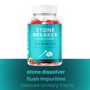 stone-breaker-chanca-piedra-1-500mg-gumm-2.jpg