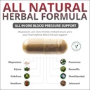 everyday-blood-pressure-support-and-hype-2.jpg