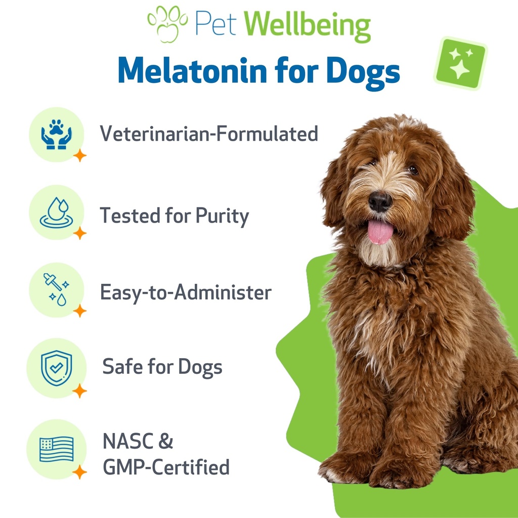 pet-wellbeing-pet-melatonin-for-dogs-sup-5.jpg