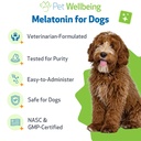 pet-wellbeing-pet-melatonin-for-dogs-sup-5.jpg
