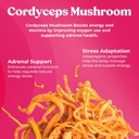super-bouncy---mushroom-supplement---cor-2.jpg