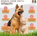 natural-dog-company-wild-alaskan-salmon--4.jpg