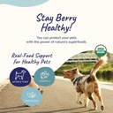 kinkind-dog-supplement-powder---suppleme-5.jpg
