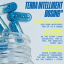 performix---sst-original---pre-workout-2-5.jpg