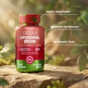 orzax-iron-supplement-25-mg-liposomal-te-3.jpg