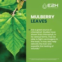 e2h-chlorophyll-liquid-drops---all-natur-3.jpg