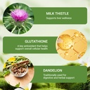 purelia-liver-restore-drops-with-milk-th-6.jpg