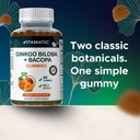 vitamatic-ginkgo-biloba-bacopa-gummies-p-4.jpg
