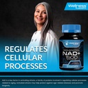 wellness-labsrx-liposomal-nad-supplement-6.jpg