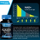 wellness-labsrx-liposomal-nad-supplement-5.jpg