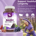 resveratrol-nad-1400mg-trans-resveratrol-2.jpg