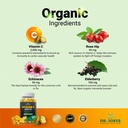 dr-joel-s-immune-support-vitamin-c-2000--3.jpg