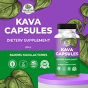 premium-kava-kava-capsules-1000mg-kava-r-5.jpg