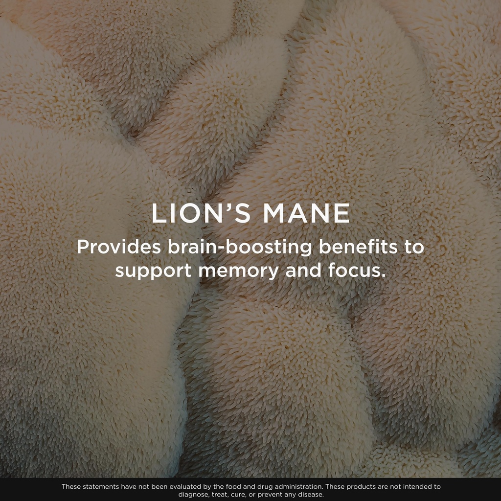 the-genius-brand-genius-lion-s-mane-plan-5.jpg
