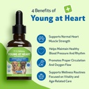 pet-wellbeing-young-at-heart-for-dogs----3.jpg