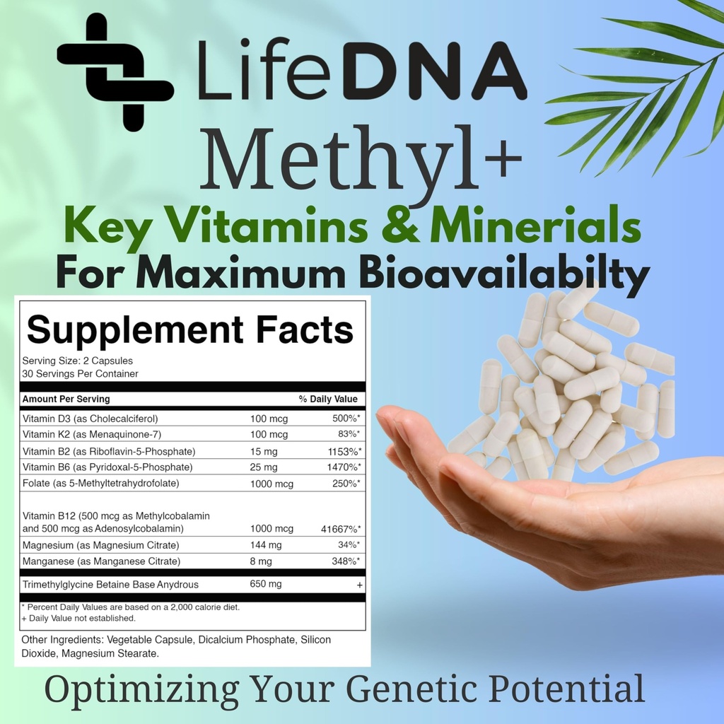 lifedna-methyl-methylfolate-methylated-f-6.jpg