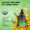 mullein-drops-for-lungs-usda-organic-liq-4.jpg