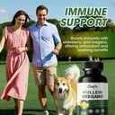 mullein-oregano-oil-capsules-for-lungs-d-6.jpg