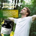 mullein-oregano-oil-capsules-for-lungs-d-2.jpg