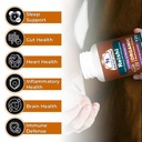 reishi-wellness-mushroom-supplement-caps-4.jpg