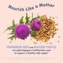 oat-mama-organic-lactation-supplement-sl-4.jpg