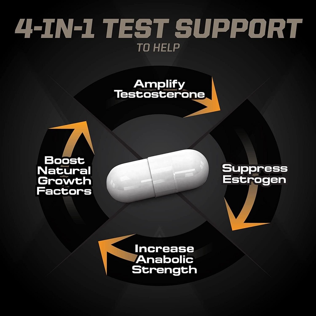 pmd-methyl-andro-hardcore---support-test-3.jpg