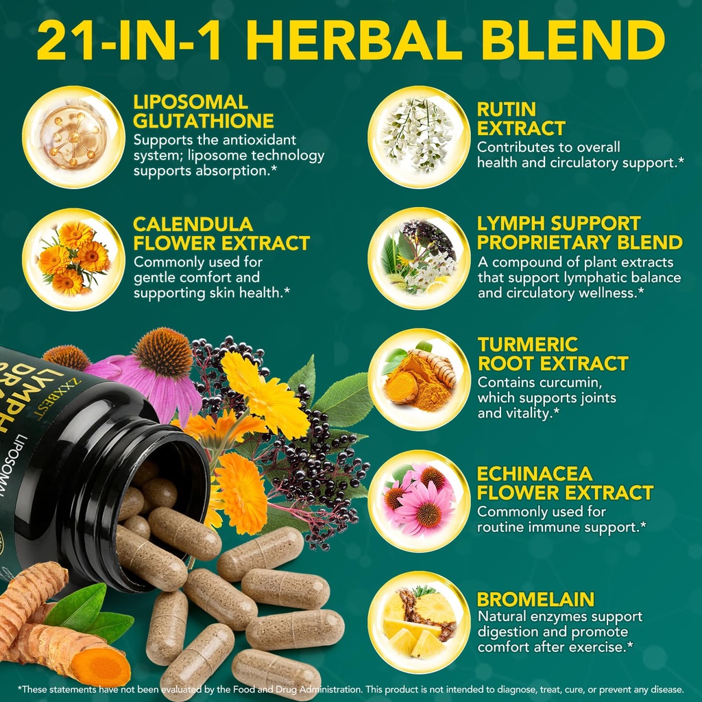 lymphatic-drainage-supplements-lymphatic-3.jpg