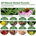 cleavers-lymphatic-drainage-drops-for-ly-4.jpg