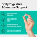 prebiotics-and-probiotics-lactobacillus--2.jpg