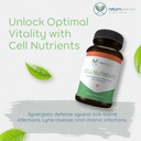 cell-nutrients-promotes-cell-and-membran-2.jpg