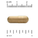 california-gold-nutrition-silymarin-live-3.jpg