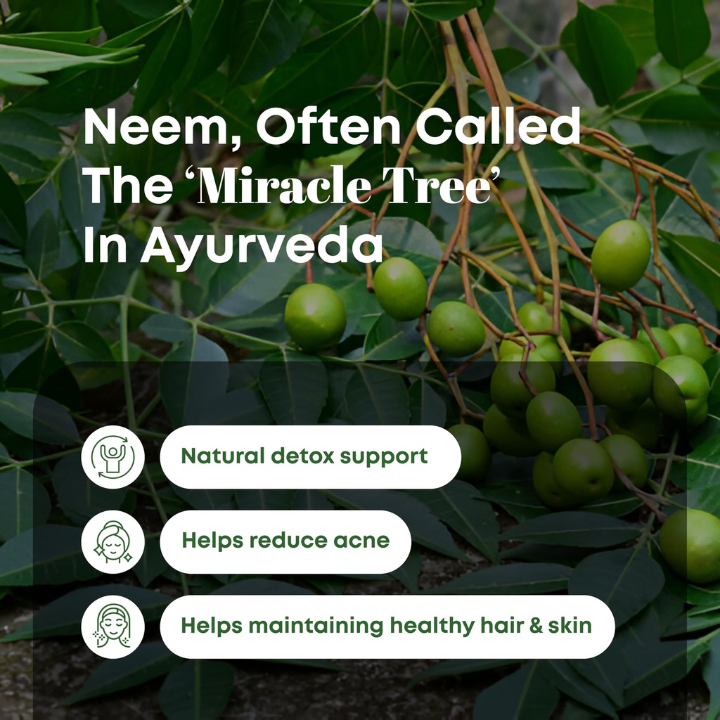 h-c-natural-neem-leaves-powder-227-grams-3.jpg