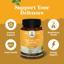 bundle-of-pure-quercetin-with-bromelain--4.jpg