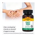 country-life-easy-iron-25-mg-gentle-non--5.jpg