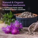 vitalitown-organic-milk-thistle-antioxid-5.jpg