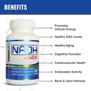 maac10-nadh-coq10-chewable-tablets-3-pac-4.jpg