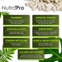 kidney-cleanse-detox-repair-and-bladder--5.jpg