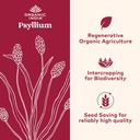 organic-india-whole-psyllium-husk-powder-3.jpg