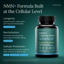 nmn-supplement-5-in-1-nad-booster-with-r-5.jpg